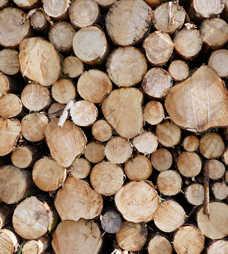 iForUT Log Pile