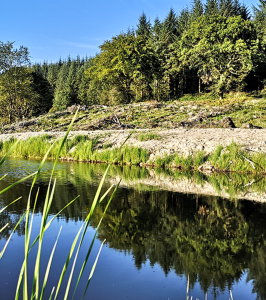 Knockshanvo Woodlands