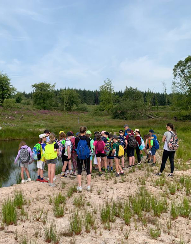 Knockshanvo Woodlands School Tour