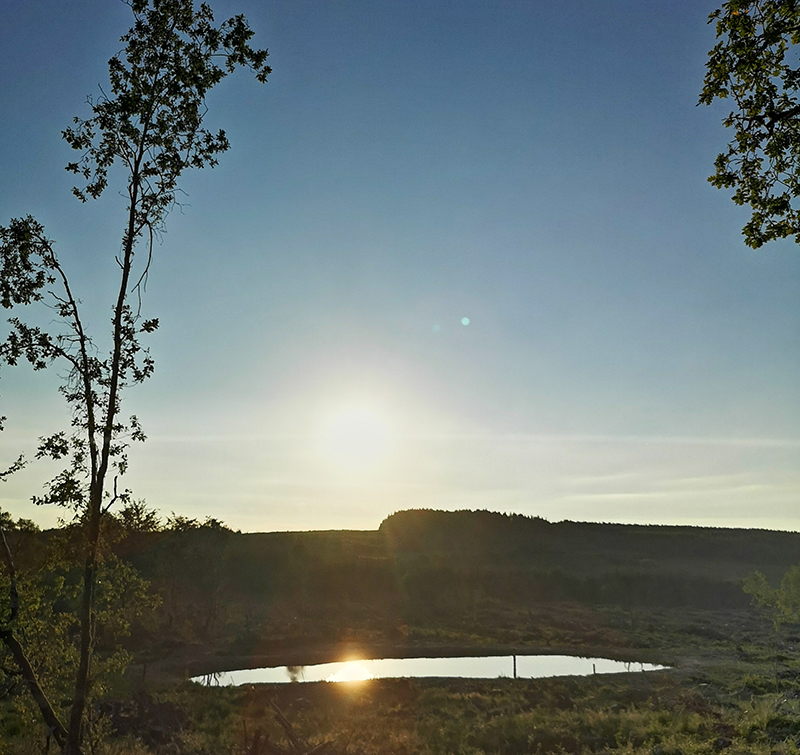 Knockshanvo Woodlands Sunset